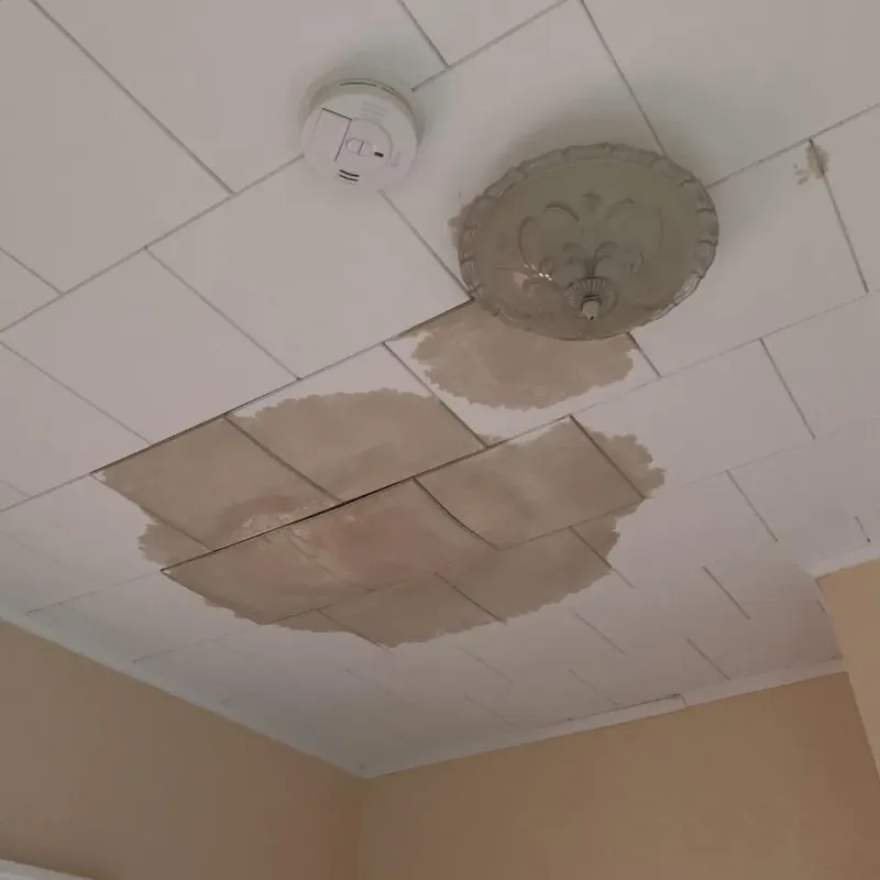 Ceiling Water Damage Repair in Winnfield, LA