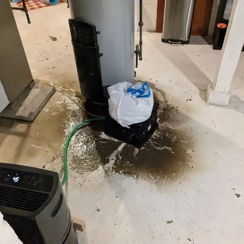 Sewage Backup Cleanup Service in Winnfield, LA
